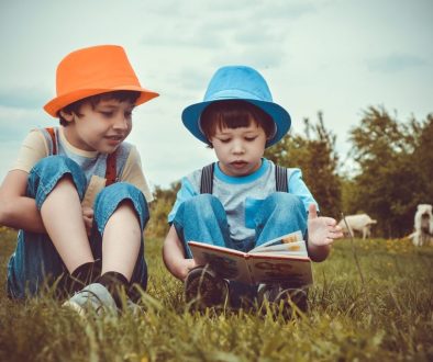 boys kids reading summer brothers 3396713